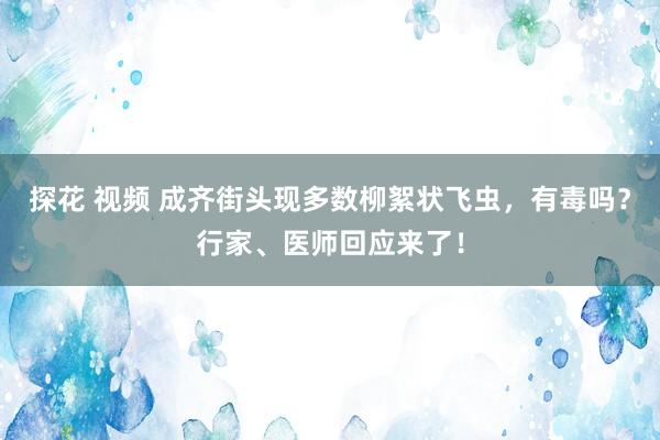 探花 视频 成齐街头现多数柳絮状飞虫，有毒吗？行家、医师回应来了！