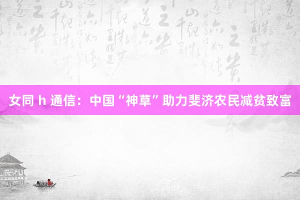 女同 h 通信：中国“神草”助力斐济农民减贫致富