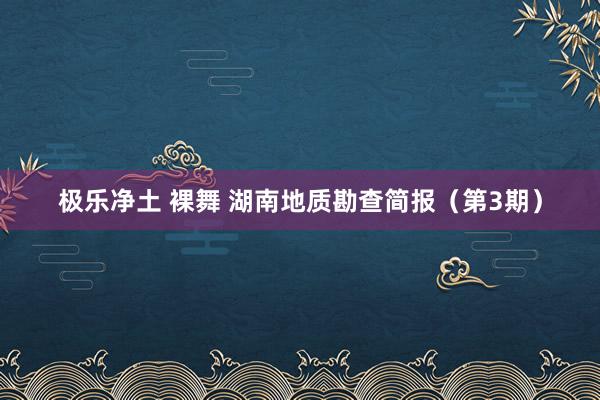 极乐净土 裸舞 湖南地质勘查简报（第3期）