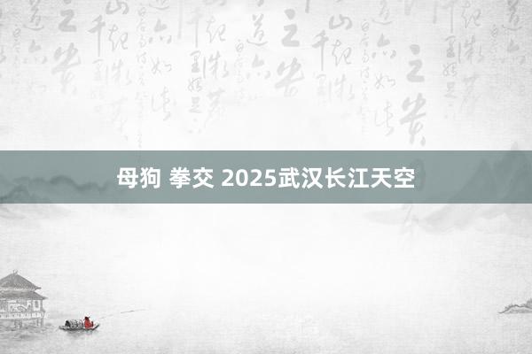 母狗 拳交 2025武汉长江天空