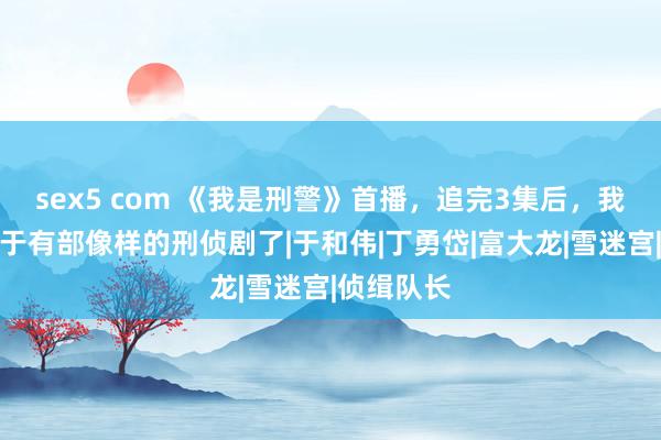sex5 com 《我是刑警》首播，追完3集后，我要说：终于有部像样的刑侦剧了|于和伟|丁勇岱|富大龙|雪迷宫|侦缉队长