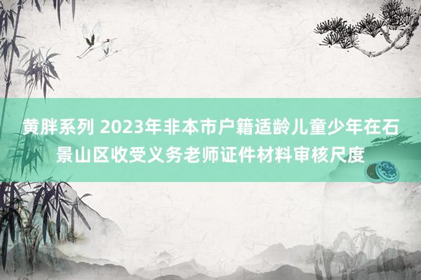 黄胖系列 2023年非本市户籍适龄儿童少年在石景山区收受义务老师证件材料审核尺度