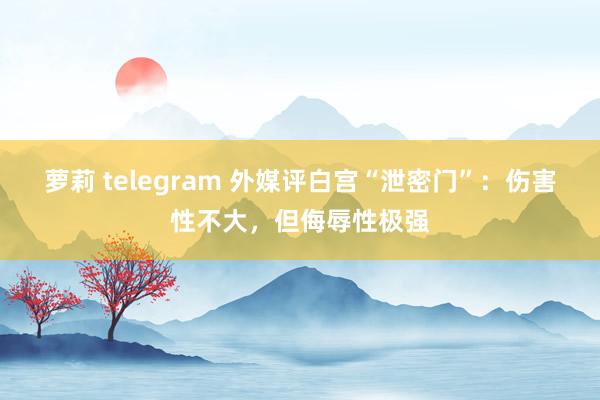 萝莉 telegram 外媒评白宫“泄密门”：伤害性不大，但侮辱性极强