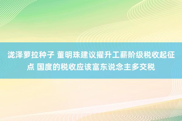泷泽萝拉种子 董明珠建议擢升工薪阶级税收起征点 国度的税收应该富东说念主多交税