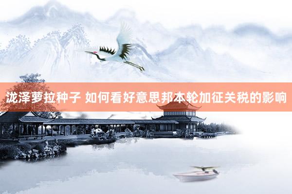 泷泽萝拉种子 如何看好意思邦本轮加征关税的影响